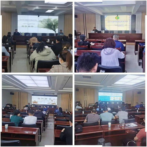 乌拉特后旗卫健委举办蒙中医适宜技术培训班 推进技术推广服务